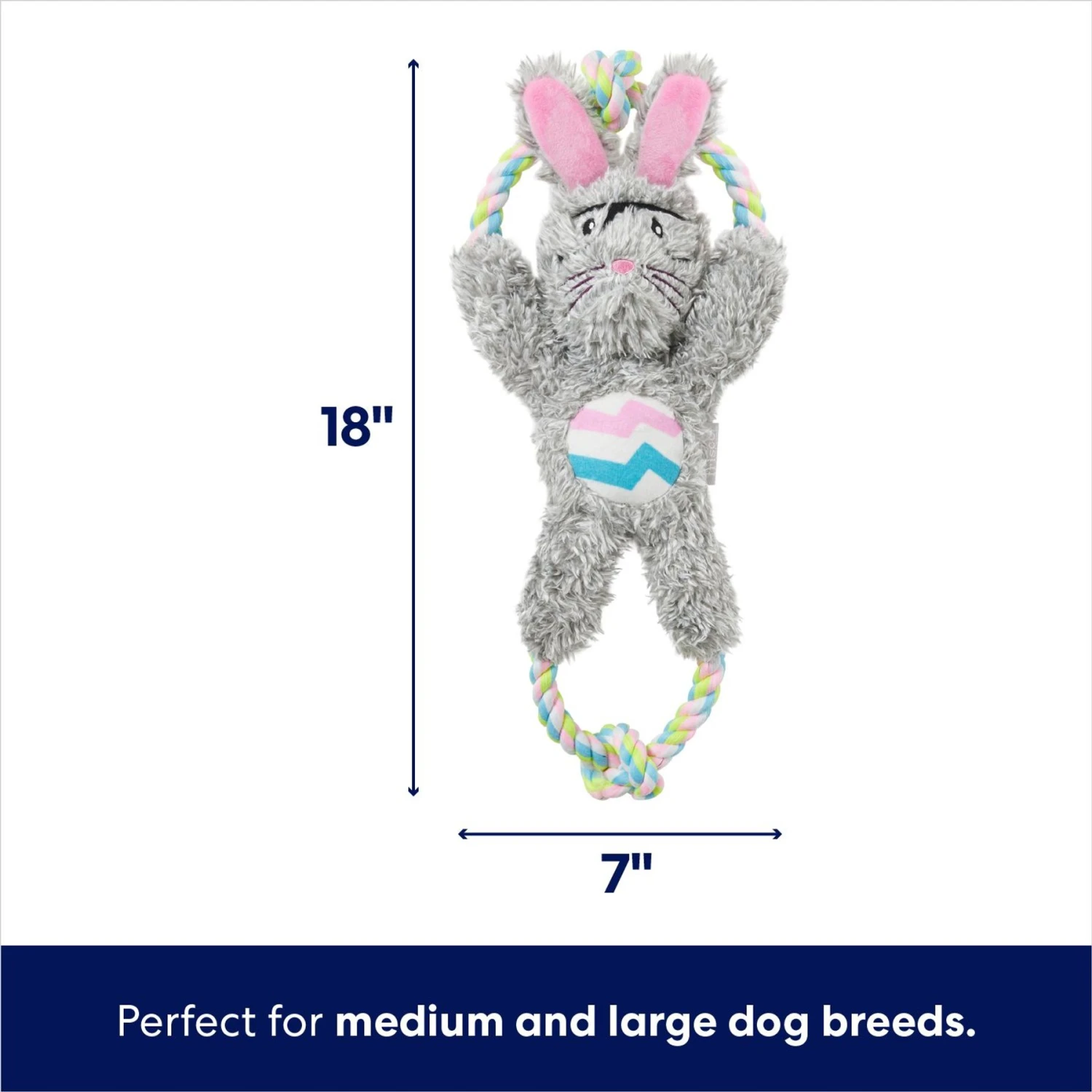 Frisco Easter Bunny Plush With Rope Squeaky Dog Toy 2 Frisco Easter Bunny Plush With Rope Squeaky Dog Toy - Image 2