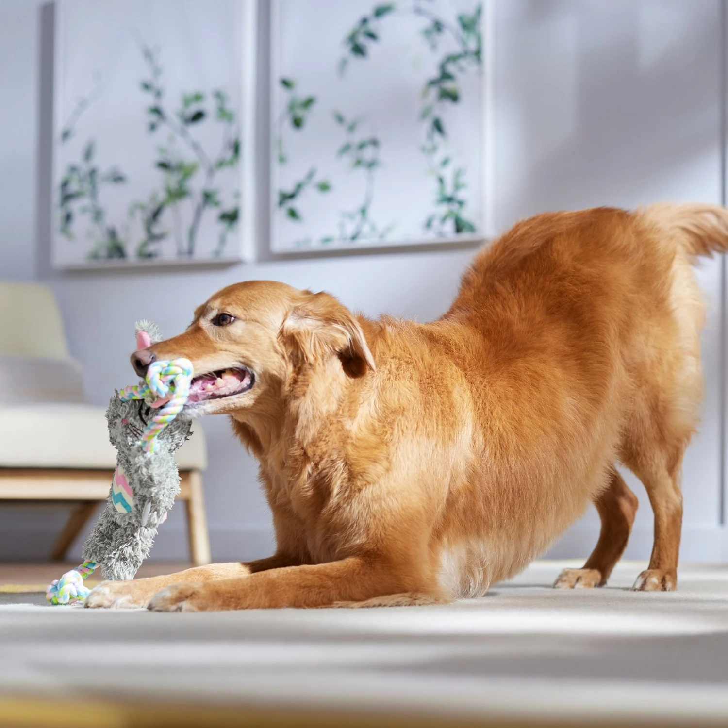 Frisco Easter Bunny Plush With Rope Squeaky Dog Toy 4 Frisco Easter Bunny Plush With Rope Squeaky Dog Toy - Image 4