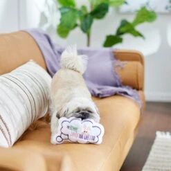 Frisco Easter Message Bubble Plush Squeaky Dog Toy -Pet Dog Shop 304980 PT3. AC SS1800 V1642441439