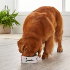 Frisco Personalized Rustic Ceramic Dog Bowl, 4.75-cup, 38oz 7 Frisco Personalized Rustic Ceramic Dog Bowl, 4.75-cup, 38oz -Pet Dog Shop 306764 PT4. AC SS1800 V1639518092