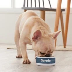 Frisco Heathered Personalized Dog & Cat Bowl -Pet Dog Shop 306766 PT4. AC SS1800 V1639518097