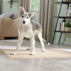 Frisco Giant Eco-Conscious Dog Training & Potty Pads 15 Frisco Giant Eco-Conscious Dog Training & Potty Pads -Pet Dog Shop 309794 PT6. AC SS1800 V1674666971