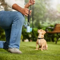 Frisco Dog Poop Bag Square Design Dispenser 12 Frisco Dog Poop Bag Square Design Dispenser -Pet Dog Shop 309816 PT5. AC SS1800 V1670276147