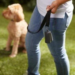 Frisco Poop Bag Square Design Dispenser 12 Frisco Poop Bag Square Design Dispenser -Pet Dog Shop 309818 PT5. AC SS1800 V1669101248