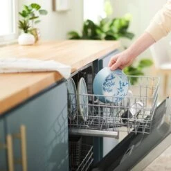 Frisco Coral Design Stainless Steel Dog & Cat Bowl -Pet Dog Shop 311972 PT7. AC SS1800 V1642543254