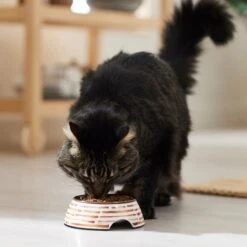 Frisco Copper Print Design Stainless Steel Dog & Cat Bowl -Pet Dog Shop 311975 PT3. AC SS1800 V1642542357