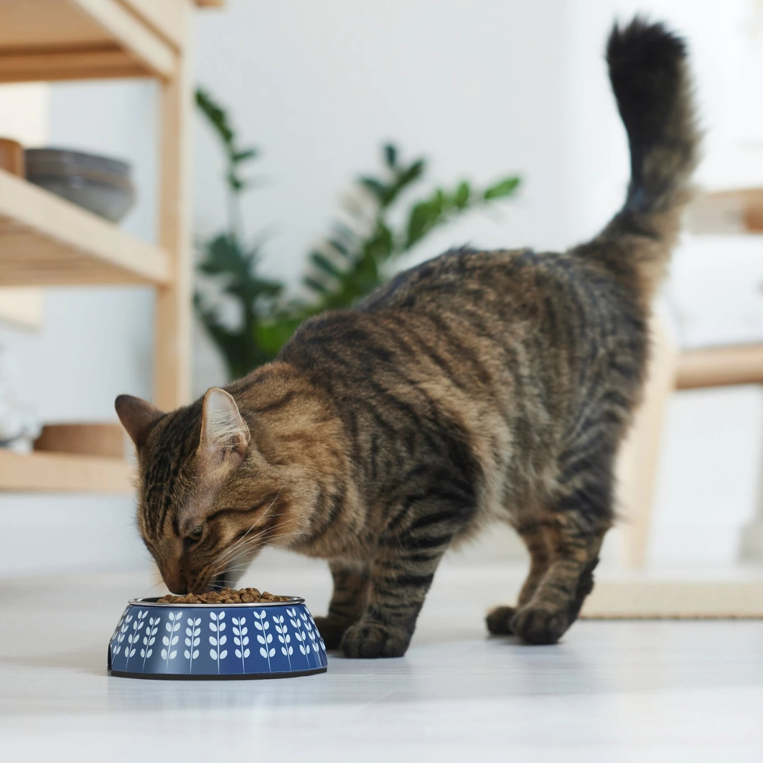 Frisco Leaf Design Stainless Steel Dog & Cat Bowl 4 Frisco Leaf Design Stainless Steel Dog & Cat Bowl - Image 4