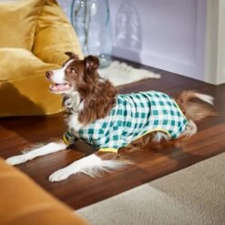 Frisco Boho Gingham Dog & Cat PJs -Pet Dog Shop 312272 PT8. AC SS1800 V1644880063