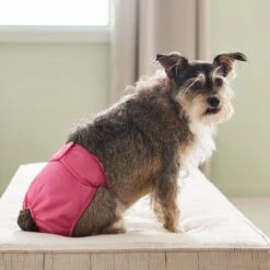 Frisco Washable Female Diaper 9 Frisco Washable Female Diaper -Pet Dog Shop 315702 PT3. AC SS1800 V1644885450