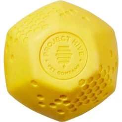 Frisco Fetch Squeaking Colorful Tennis Ball Dog Toy & Project Hive Pet Company Ball Dog Toy -Pet Dog Shop 319024 PT4. AC SS1800 V1630553814