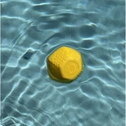 Frisco Fetch Squeaking Colorful Tennis Ball Dog Toy & Project Hive Pet Company Ball Dog Toy -Pet Dog Shop 319024 PT6. AC SS1800 V1630561577