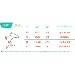 Frisco Outdoor Lightweight Ripstop Nylon Dog Harness & Frisco Outdoor Heathered Nylon Collar -Pet Dog Shop 319194 PT7. AC SS1800 V1631118969