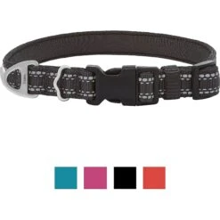 Frisco Outdoor Premium Ripstop Nylon Dog Harness With Pocket & Frisco Outdoor Nylon Reflective Comfort Padded Dog Collar -Pet Dog Shop 319304 PT5. AC SS1800 V1631139692