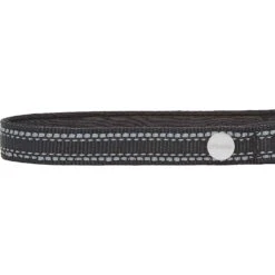 Frisco Outdoor Premium Ripstop Nylon Dog Harness With Pocket & Frisco Outdoor Nylon Reflective Comfort Padded Dog Collar -Pet Dog Shop 319304 PT6. AC SS1800 V1631158591