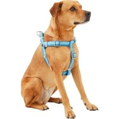 Frisco Outdoor Two Tone Waterproof Stinkproof PVC Dog Harness & Frisco Outdoor Two Tone Waterproof Stinkproof PVC Dog Harness 8 Frisco Outdoor Two Tone Waterproof Stinkproof PVC Dog Harness & Frisco Outdoor Two Tone Waterproof Stinkproof PVC Dog Harness -Pet Dog Shop 319396 PT2. AC SS1800 V1630624884