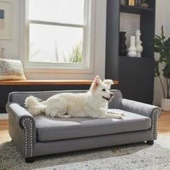 Frisco Sofa Pet Bed With Removable Cover & Frisco Eyelash Cat & Dog Blanket 13 Frisco Sofa Pet Bed With Removable Cover & Frisco Eyelash Cat & Dog Blanket -Pet Dog Shop 319504 PT4. AC SS1800 V1630625195