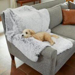 Frisco Sofa Pet Bed With Removable Cover & Frisco Eyelash Cat & Dog Blanket 17 Frisco Sofa Pet Bed With Removable Cover & Frisco Eyelash Cat & Dog Blanket -Pet Dog Shop 319504 PT8. AC SS1800 V1630629098