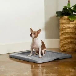 Frisco Training Pad Holder & Frisco Premium Dog Training & Potty Pads -Pet Dog Shop 319526 PT4. AC SS1800 V1630624305