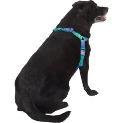Frisco Green Ombre Style Dog Harness 8 Frisco Green Ombre Style Dog Harness -Pet Dog Shop 324531 PT3. AC SS1800 V1642518631