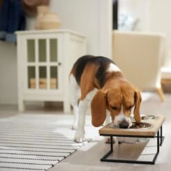 Frisco Premium Wood Elevated Stainless Steel Double Diner Dog & Cat Bowl -Pet Dog Shop 331490 PT2. AC SS1800 V1657656891