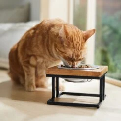 Frisco Premium Wood Elevated Single Dog & Cat Bowl 10 Frisco Premium Wood Elevated Single Dog & Cat Bowl -Pet Dog Shop 331493 PT3. AC SS1800 V1657656892