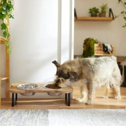 Frisco Premium Wood Elevated Bone Shape Stainless Steel Double Diner Dog & Cat Bowl, 3 Cup 8 Frisco Premium Wood Elevated Bone Shape Stainless Steel Double Diner Dog & Cat Bowl, 3 Cup -Pet Dog Shop 331497 PT2. AC SS1800 V1657656892