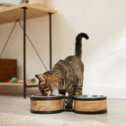 Frisco Premium Elevated Bone Design Stainless Steel Double Diner Dog & Cat Bowl 10 Frisco Premium Elevated Bone Design Stainless Steel Double Diner Dog & Cat Bowl -Pet Dog Shop 331499 PT3. AC SS1800 V1657656892