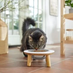 Frisco Premium Round Shape Elevated Single Dog & Cat Bowl -Pet Dog Shop 331502 PT3. AC SS1800 V1657656892