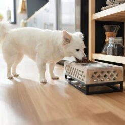 Frisco Premium Wood Elevated Stainless Steel Double Diner Dog & Cat Bowl, 3 Cup -Pet Dog Shop 331507 PT2. AC SS1800 V1657656894