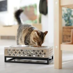 Frisco Premium Wood Elevated Stainless Steel Double Diner Dog & Cat Bowl, 3 Cup -Pet Dog Shop 331507 PT3. AC SS1800 V1657656894