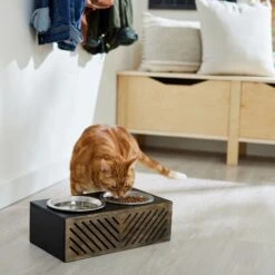 Frisco Premium Wood Elevated Stainless Steel Double Diner Dog & Cat Bowl, Black, 3 Cup 9 Frisco Premium Wood Elevated Stainless Steel Double Diner Dog & Cat Bowl, Black, 3 Cup -Pet Dog Shop 331509 PT3. AC SS1800 V1657656894