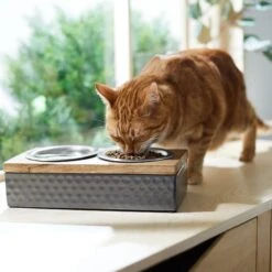 Frisco Premium Stainless Steel Double Diner Dog & Cat Bowl, Black -Pet Dog Shop 331532 PT3. AC SS1800 V1657656874