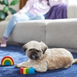 Frisco Pride Rainbow & Heart Latex Squeaky Dog Toy, 2 Count 5 Frisco Pride Rainbow & Heart Latex Squeaky Dog Toy, 2 Count -Pet Dog Shop 331632 PT3. AC SS1800 V1647355825