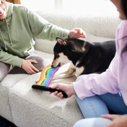 Frisco Pride Flag Flat Squeaky Dog Toy 5 Frisco Pride Flag Flat Squeaky Dog Toy -Pet Dog Shop 331640 PT3. AC SS1800 V1647355852