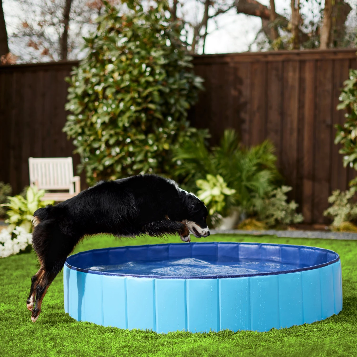 Frisco Outdoor Dog Swimming Pool 1 Frisco Outdoor Dog Swimming Pool