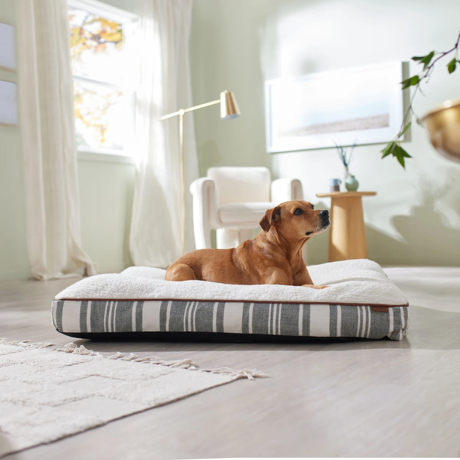 Frisco Farmhouse Rectangular Gusset Dog Bed W/ Removable Cover 1 Frisco Farmhouse Rectangular Gusset Dog Bed W/ Removable Cover