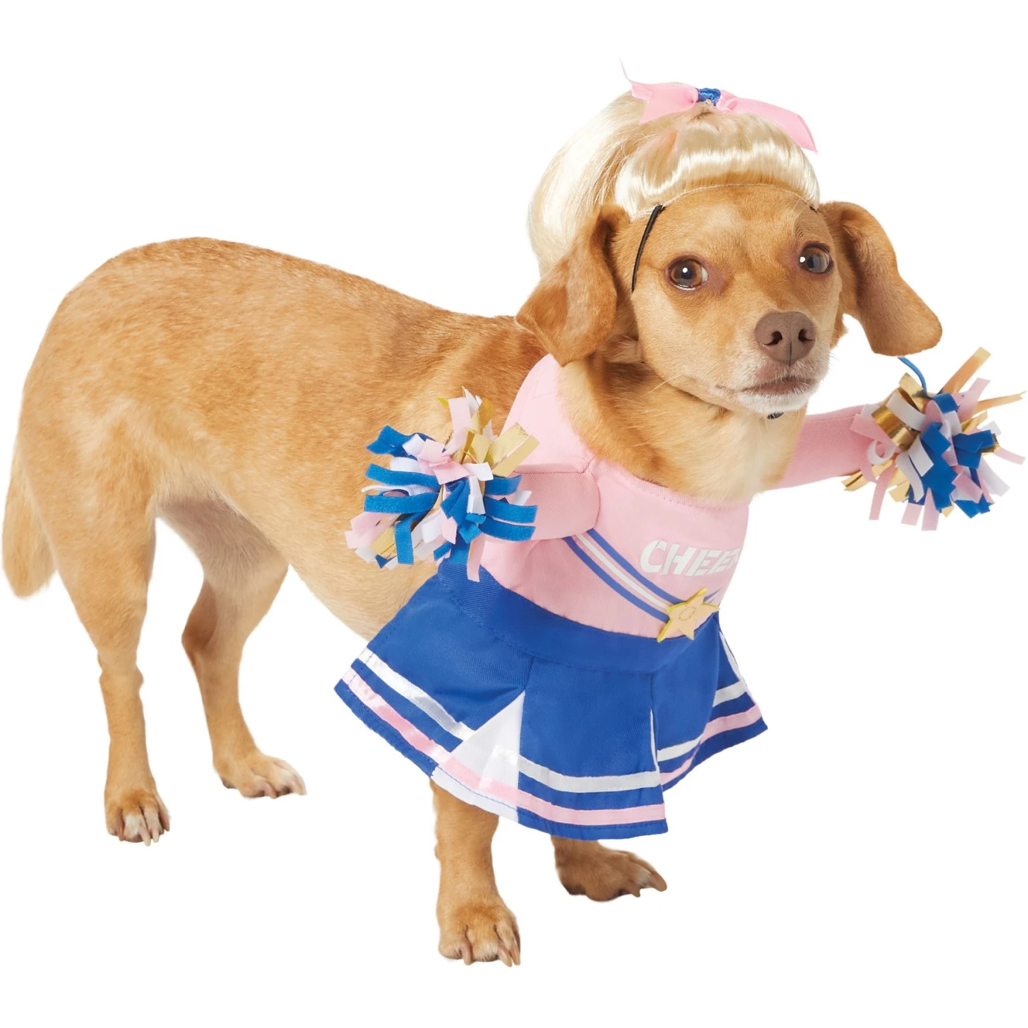 Frisco Front Walking Cheerleader Dog & Cat Costume 4 Frisco Front Walking Cheerleader Dog & Cat Costume - Image 4