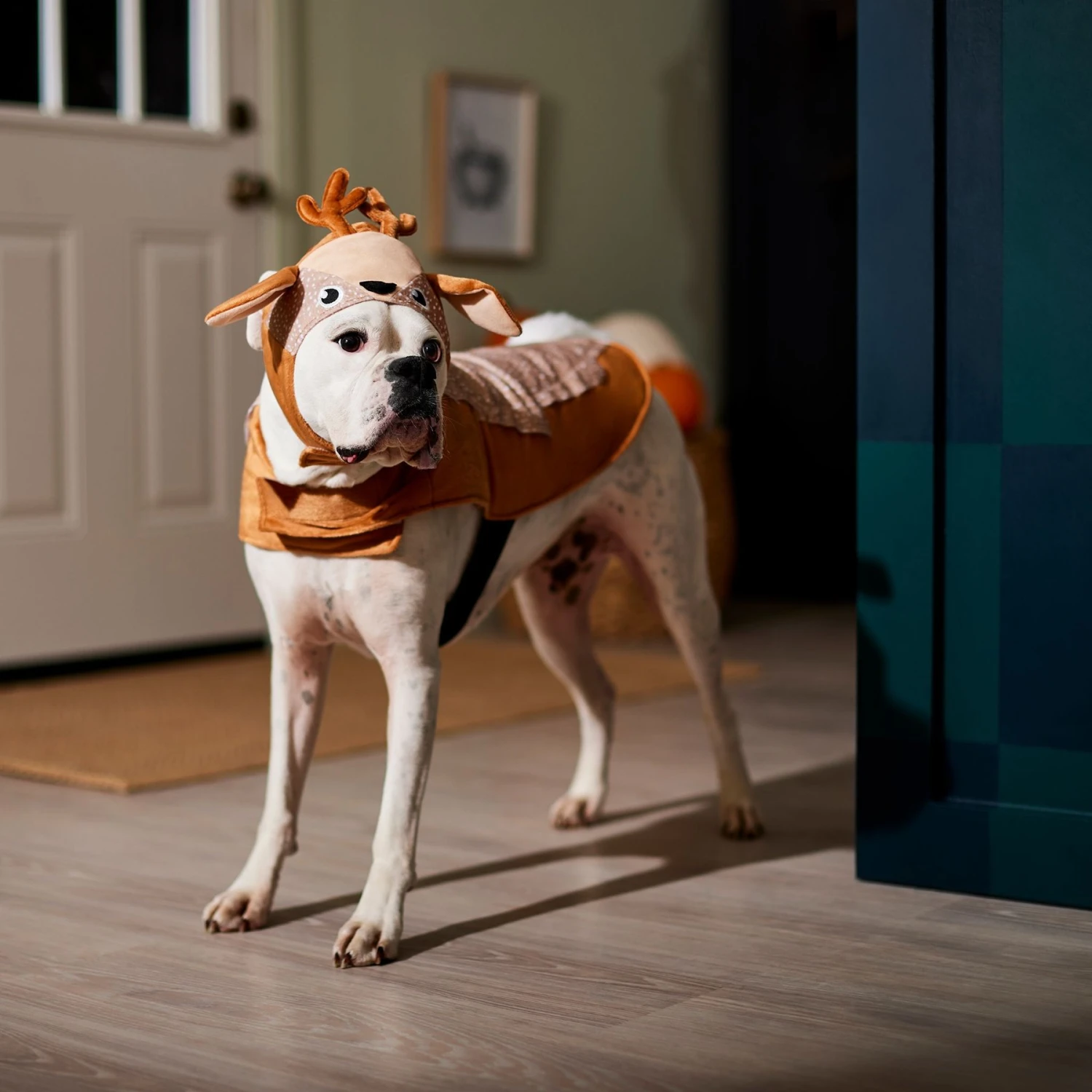 Frisco Deer Dog & Cat Costume 6 Frisco Deer Dog & Cat Costume - Image 6