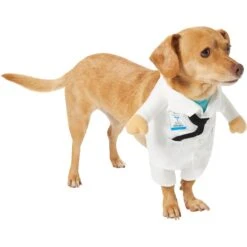 Frisco Front Walking Doctor Dog & Cat Costume -Pet Dog Shop 334900 PT3. AC SS1800 V1658344549
