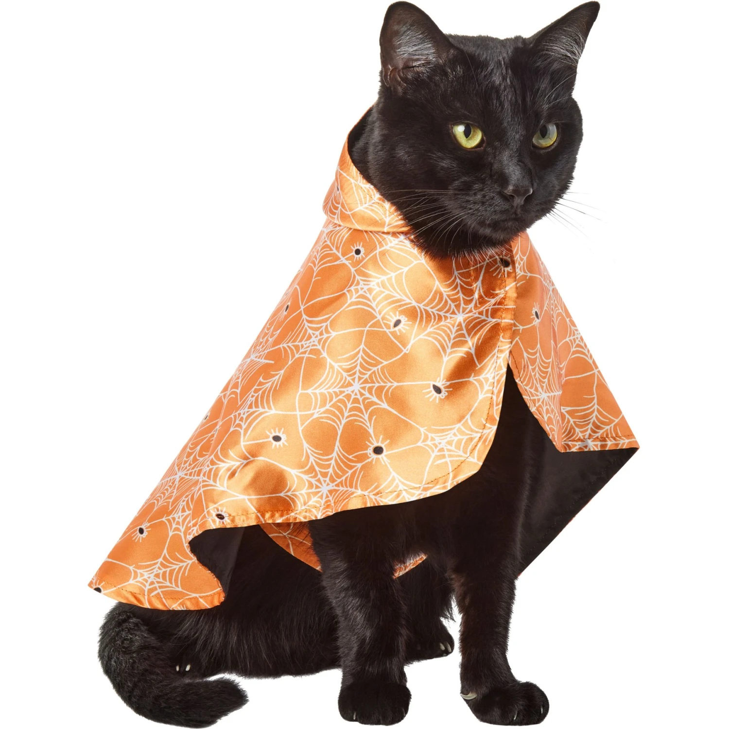Frisco Spider Webbed Dog & Cat Costume Cape 3 Frisco Spider Webbed Dog & Cat Costume Cape - Image 3