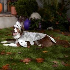 Frisco Seal Dog & Cat Costume -Pet Dog Shop 334983 PT7. AC SS1800 V1657730462