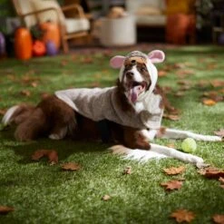 Frisco Hedgehog Dog & Cat Costume -Pet Dog Shop 334990 PT7. AC SS1800 V1657732628