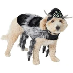Frisco Spider Dog & Cat Costume