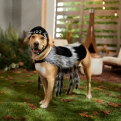 Frisco Spider Dog & Cat Costume -Pet Dog Shop 335017 PT7. AC SS1800 V1657834853