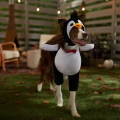 Frisco Front Walking Penguin Dog & Cat Costume 14 Frisco Front Walking Penguin Dog & Cat Costume -Pet Dog Shop 335062 PT7. AC SS1800 V1657718971