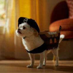 Frisco Pirate Ship Dog & Cat Costume 12 Frisco Pirate Ship Dog & Cat Costume -Pet Dog Shop 335078 PT7. AC SS1800 V1657656881