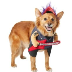 Frisco Front Walking Punk Rocker Dog & Cat Costume -Pet Dog Shop 335087 PT3. AC SS1800 V1658346323