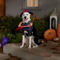 Frisco Front Walking Punk Rocker Dog & Cat Costume -Pet Dog Shop 335087 PT7. AC SS1800 V1657732627