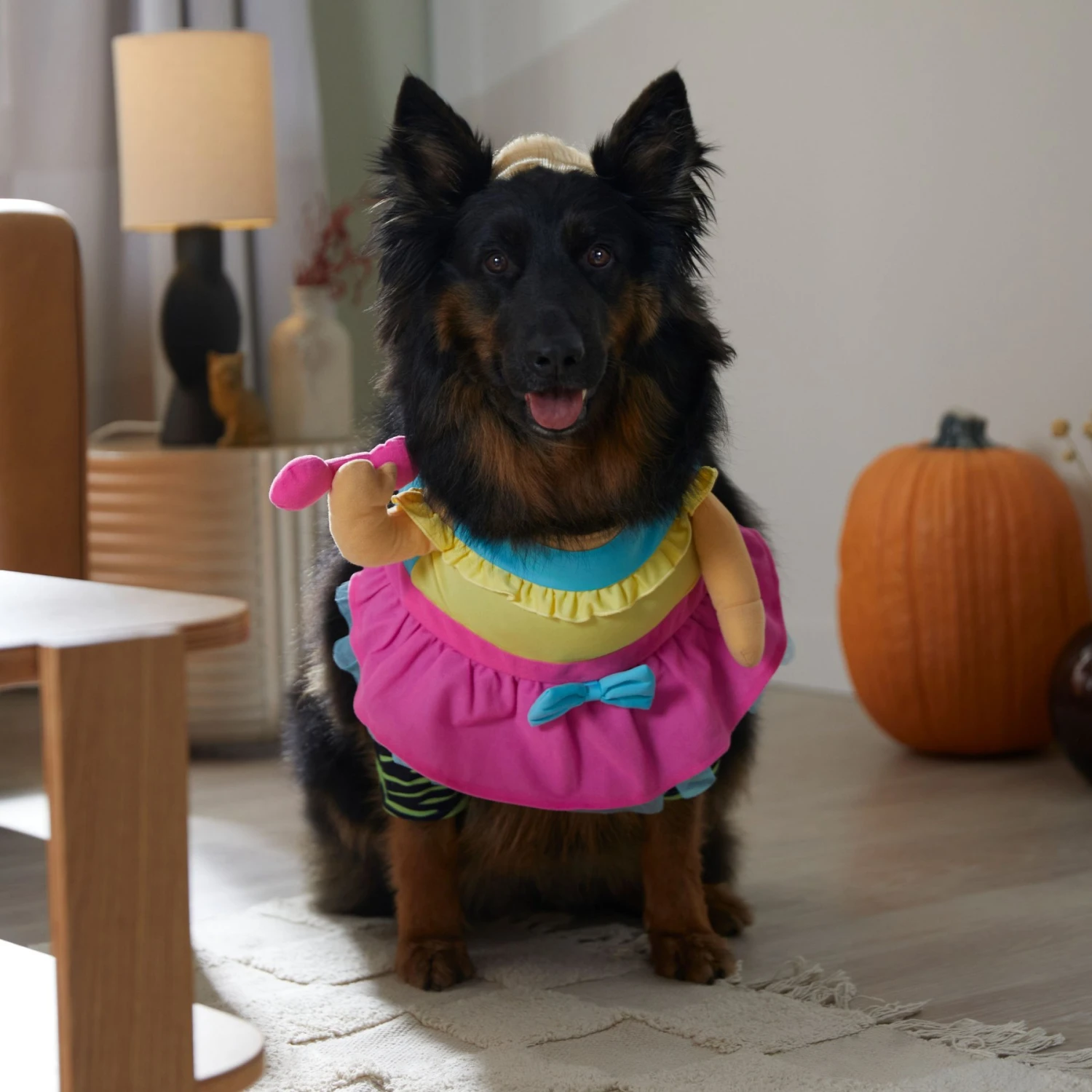 Frisco Front Walking Workout Girl Dog & Cat Costume 7 Frisco Front Walking Workout Girl Dog & Cat Costume - Image 7