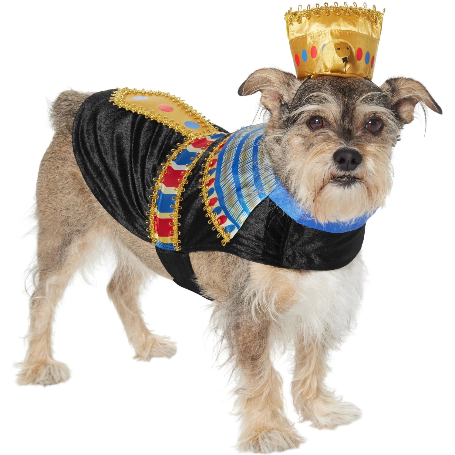 Frisco Royal Pharoah Dog & Cat Costume 1 Frisco Royal Pharoah Dog & Cat Costume